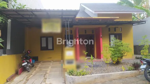 image MUTIARA TEMBALANG (1)