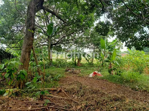 image TANAH LUAS STRATEGIS DI TENGAH KOTA BOGOR SANGAT COCOK UNTUK CLUSTER (2)