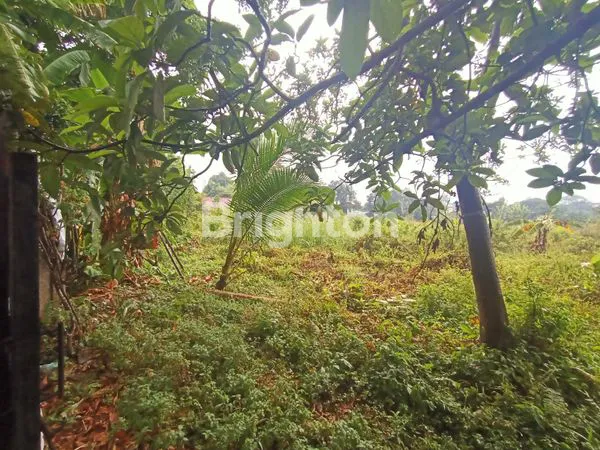 image TANAH LUAS STRATEGIS DI TENGAH KOTA BOGOR SANGAT COCOK UNTUK CLUSTER (3)