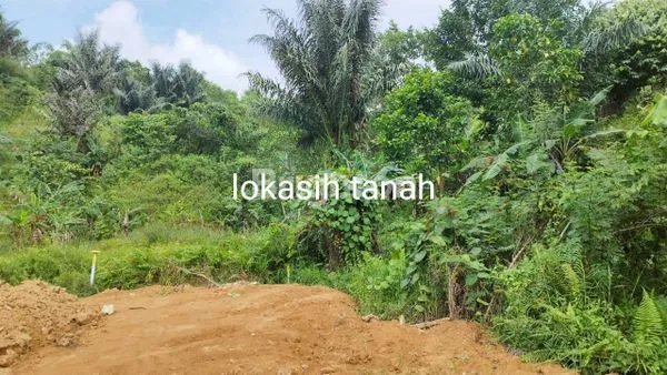 Gambar Property