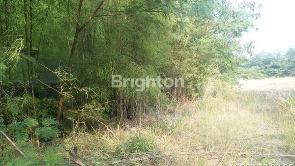 image TANAH HUSEIN SASTRANEGARA BENDA RAWA BOKOR DEKAT BANDARA SOEKARNO (4)