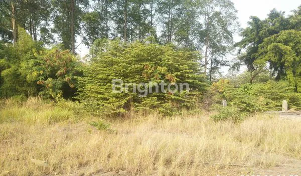 image TANAH HUSEIN SASTRANEGARA BENDA RAWA BOKOR DEKAT BANDARA SOEKARNO (6)