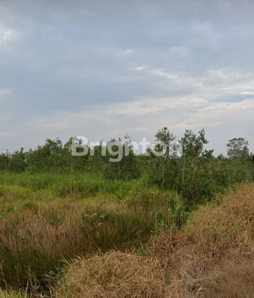 image TANAH SHM SEMATANG BORANG (1)