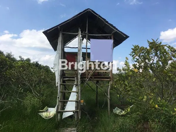 image TANAH SHM SEMATANG BORANG (2)