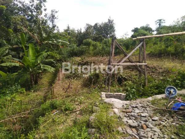 image TANAH MURAH DEKAT EXIT TOL DI NGAGLIK, SELOKATON (3)