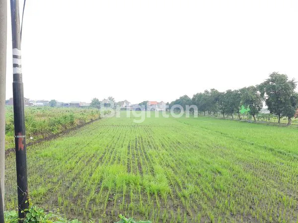 image TANAH PEKARANGAN YANG SIAP DIBANGUN, MOJOAGUNG JOMBANG (1)