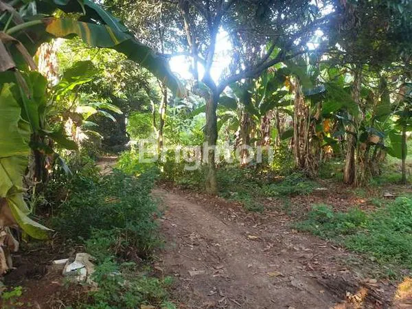 image TANAH LUAS DALAM KOMPLEK, LEBAR MUKA LUAS, BEBAS BANJIR JOGLO, KEMBANGAN JAKARTA BARAT (1)
