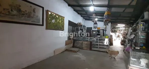 image RUMAH DENGAN HALAMAN LUAS DI TENGAH KOTA BOGOR  (3)