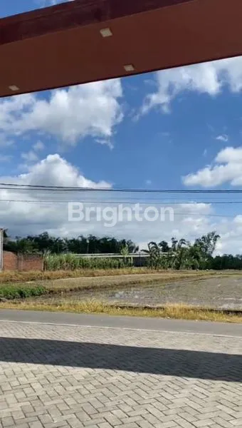 image RUMAH 2 LANTAI, AREA KAMPUS DAN ASRI (6)