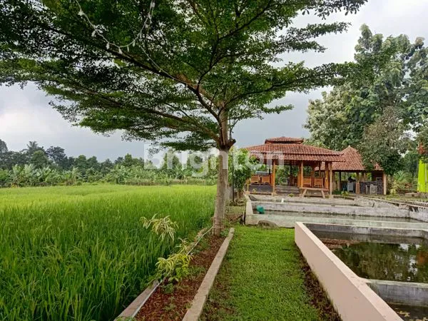 image VILLA ASRI TURUN HARGA \U203C\UFE0F  (7)
