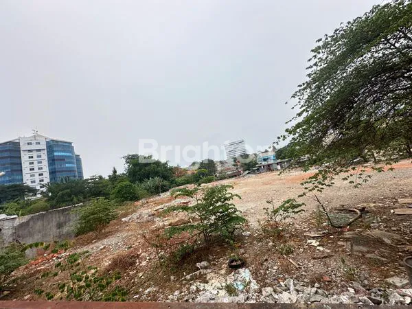 image TANAH TB SIMATUPANG  (7)