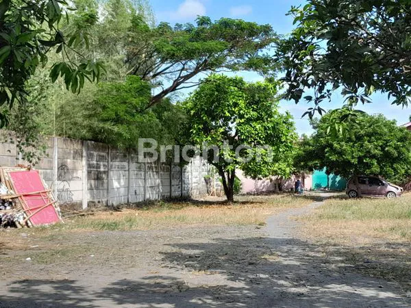 image TANAH MURAH DEKAT SOLO BARU PINGGIR JALAN RAMAI UNTUK USAHA DI BAKI SUKOHARJO (2)
