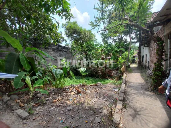 TANAH PEKARANGAN DI TULUNGAGUNG