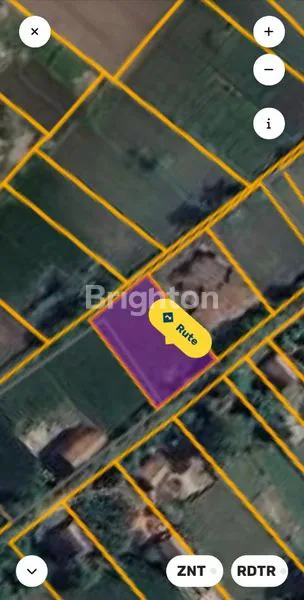 TANAH SAWAH PINGGIR JALAN VIEW BUKIT BINTANG