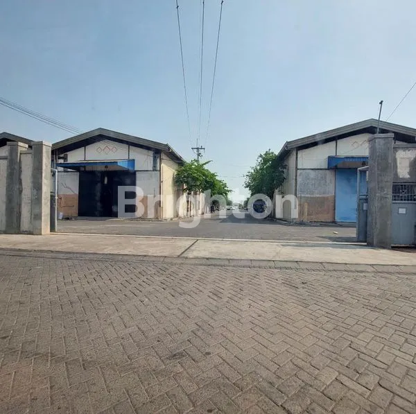 image LT402 TAMBAK LANGON (1)