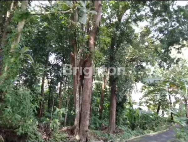 image TANAH STRATEGIS TAMAN BERINGIN NGALIYAN SELANGKAH DENGAN EXIT TOL KRAPYAK DAN BSB CITY NGALIYAN (AN14)  (4)