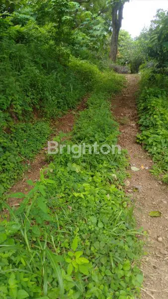 image TANAH DI SANGSIT – SAWAN – BULELENG (3)