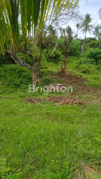 image TANAH DI SANGSIT – SAWAN – BULELENG (2)