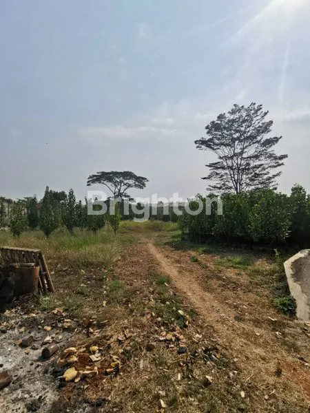 image GUDANG CURUG TANGERANG 1.6 HEKTAR JALAN RAYA CUKANG GALIH SERANG (8)