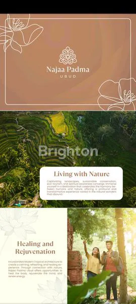 image NAAJA PADMA UBUD (7)