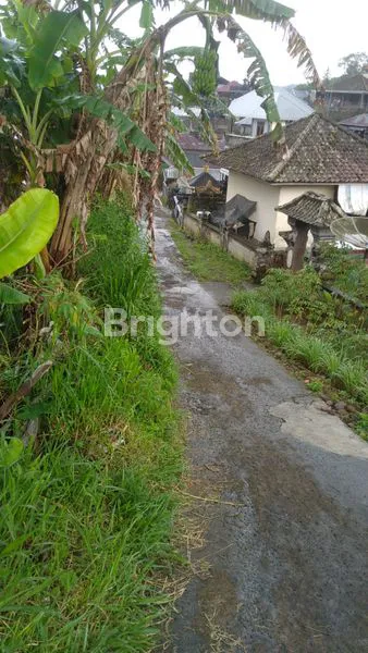 image DI JUAL TANAH CANDIKUNING TABANAN (4)