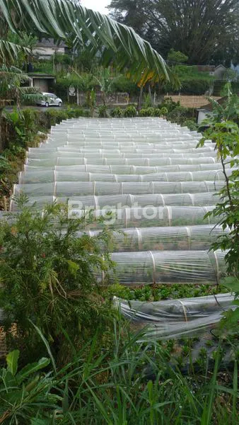 image DI JUAL TANAH CANDIKUNING TABANAN (3)