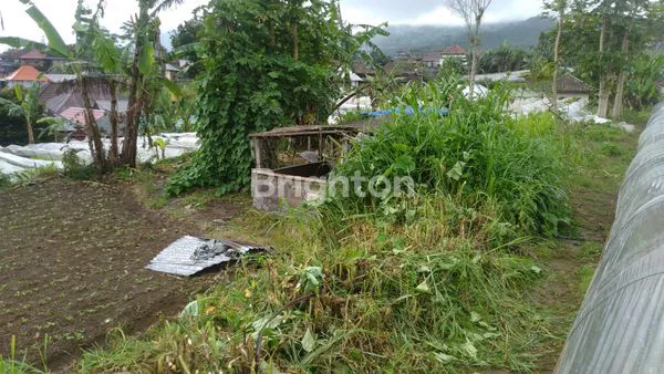 image DI JUAL TANAH CANDIKUNING TABANAN (2)