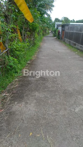 image TANAH DI TEMUKUS – BANJAR – BULELENG  (4)