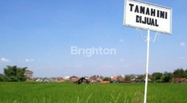 Gambar Property TANAH DOMAS MOJOKERTO