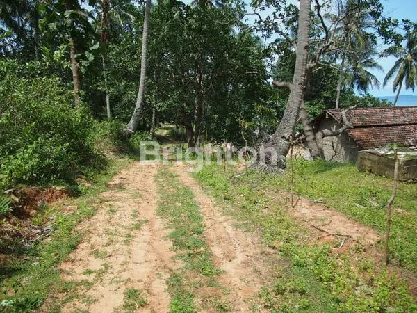 image TANAH SIAP BANGUN KARIMUN JAWA (4)