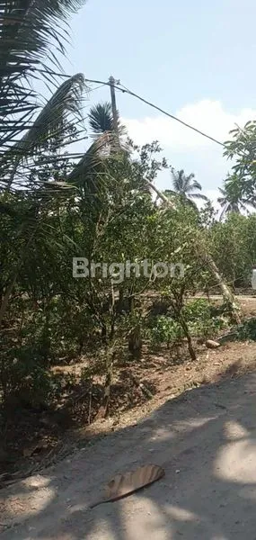 image DI JUAL TANAH PAYANGAN (6)