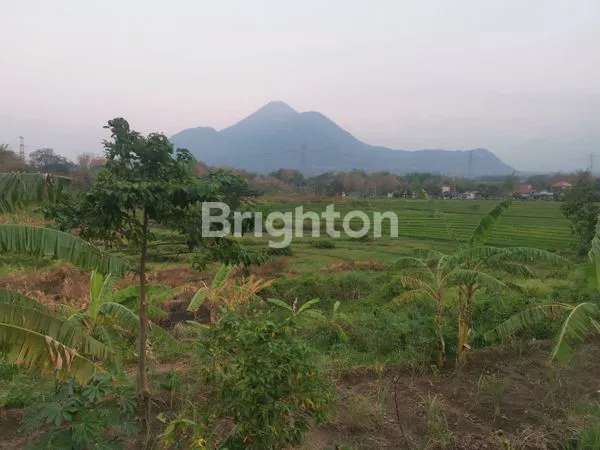 image TANAH KEBUN VIEW PUNCAK GUNUNG PENANGGUNGAN (1)