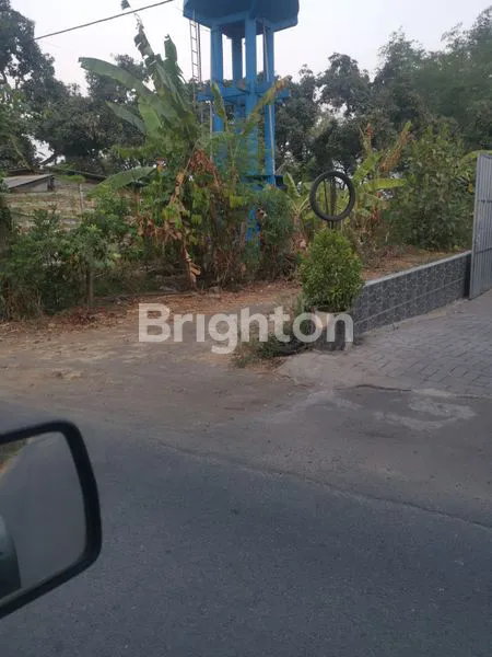 image TANAH KEBUN VIEW PUNCAK GUNUNG PENANGGUNGAN (5)