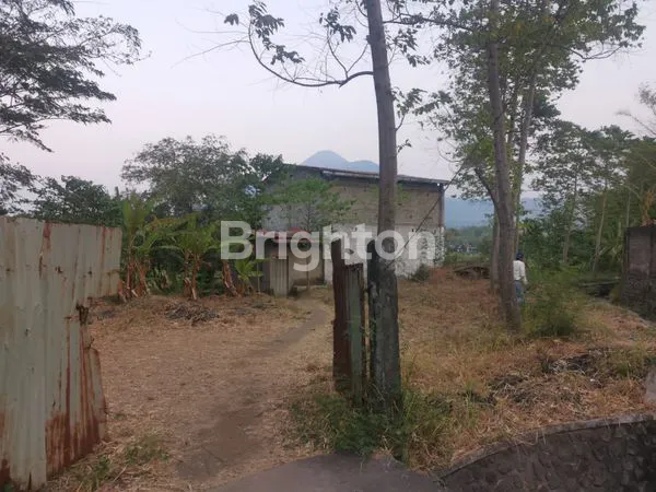 image TANAH KEBUN VIEW PUNCAK GUNUNG PENANGGUNGAN (6)