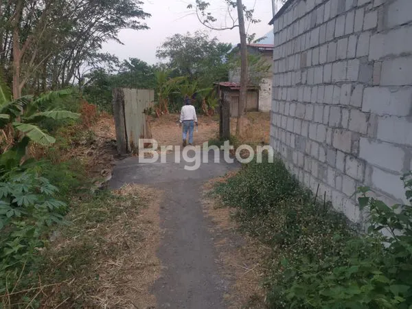 image TANAH KEBUN VIEW PUNCAK GUNUNG PENANGGUNGAN (4)