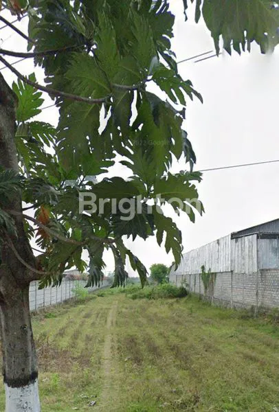 image SIAP BANGUN. AREA KANTOR, GUDANG, INDUSTRI, PERUMAHAN (1)