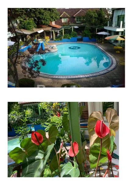 image JUAL CEPAT HOTEL DI CIMAHI, MASIH BERJALAN. DILENGKAPI DENGAN KOLAM RENANH ANAK & DEWASA (3)