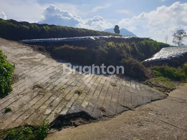 image TANAH SIAP BANGUN UNTUK VILLA KAFE KOPENG MURAH (2)