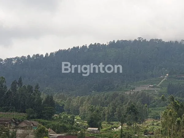 image TANAH SIAP BANGUN UNTUK VILLA KAFE KOPENG MURAH (3)