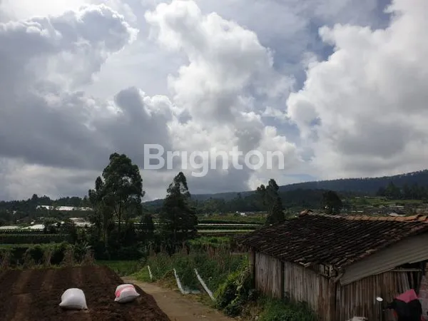 image TANAH SIAP BANGUN UNTUK VILLA KAFE KOPENG MURAH (1)