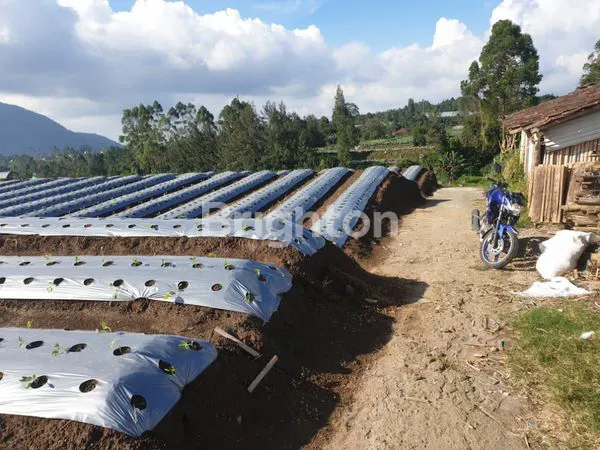 image TANAH SIAP BANGUN UNTUK VILLA KAFE KOPENG MURAH (6)