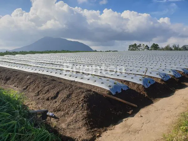 image TANAH SIAP BANGUN UNTUK VILLA KAFE KOPENG MURAH (5)