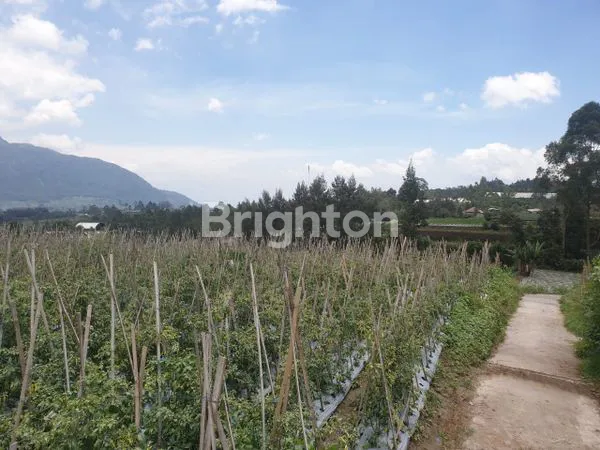 image TANAH SIAP BANGUN UNTUK VILLA KAFE KOPENG MURAH (7)