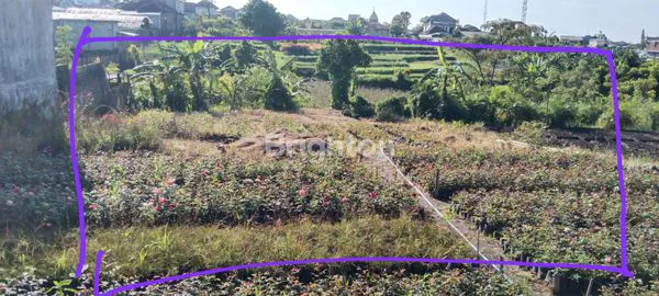 image TANAH DEKAT WISATA BATU COCOK UNTUK INVESTASI (1)