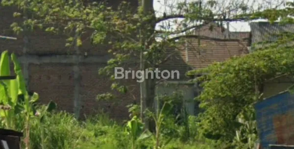 image TANAH DI RAYA SUCI MANYAR - GRESIK (1)