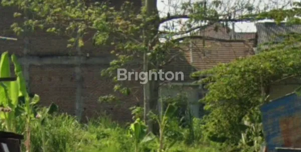 image TANAH DI RAYA SUCI MANYAR - GRESIK (1)