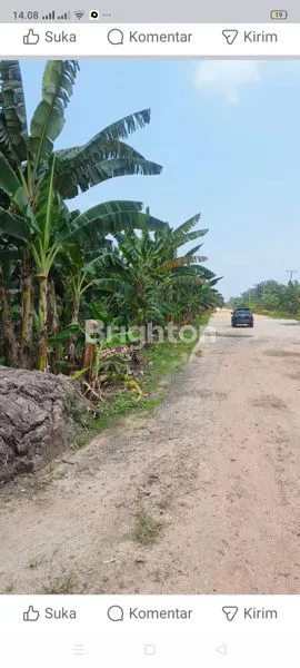 image TANAH MURAH DI LUBUK GAUNG DUMAI (1)