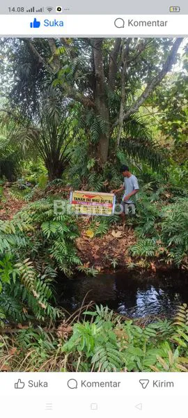 image TANAH MURAH DI LUBUK GAUNG DUMAI (2)