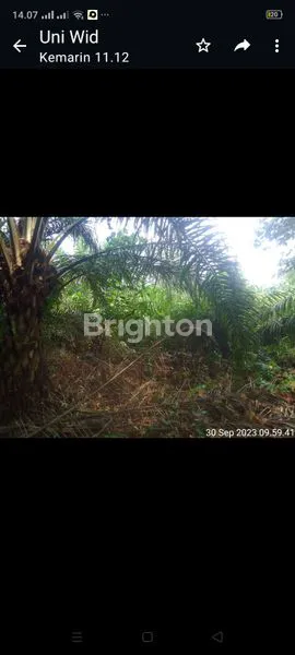 image TANAH MURAH DI LUBUK GAUNG DUMAI (3)