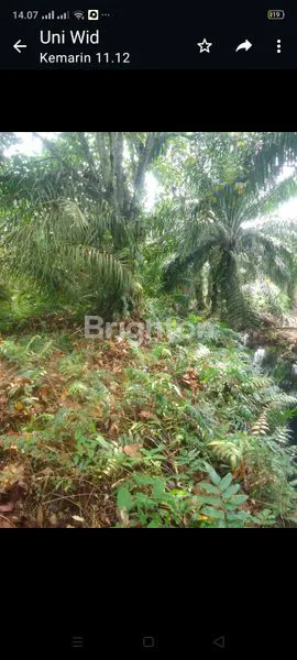 image TANAH MURAH DI LUBUK GAUNG DUMAI (4)